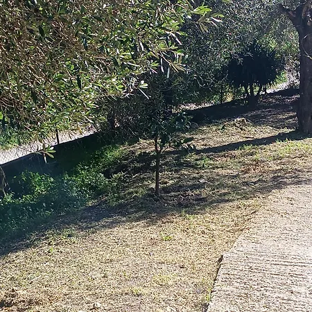 Homestay εξοχικό στο βιρο κέρκυρας Kastania (Corfu)