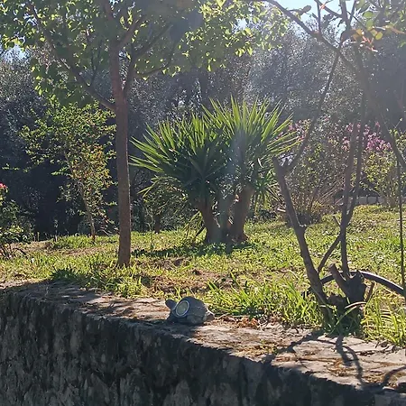 Homestay εξοχικό στο βιρο κέρκυρας Kastania (Corfu)