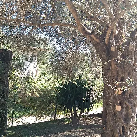 Homestay εξοχικό στο βιρο κέρκυρας *