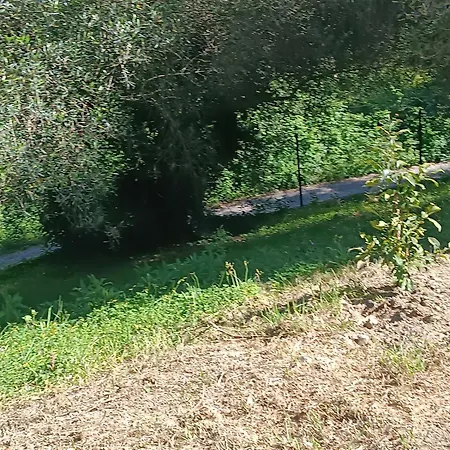 εξοχικό στο βιρο κέρκυρας Homestay Kastania (Corfu)