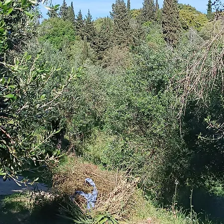 εξοχικό στο βιρο κέρκυρας