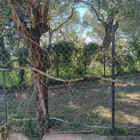 εξοχικό στο βιρο κέρκυρας Homestay