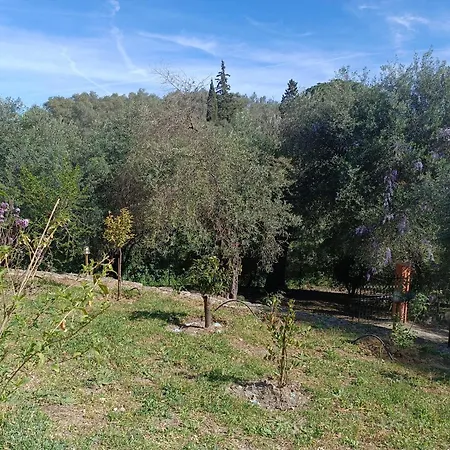 εξοχικό στο βιρο κέρκυρας Homestay *