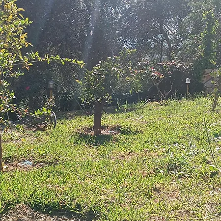 Homestay εξοχικό στο βιρο κέρκυρας