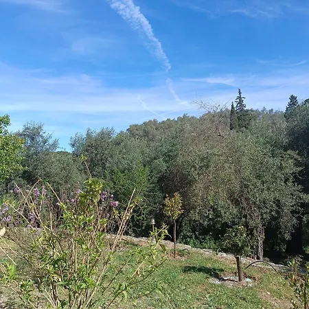 εξοχικό στο βιρο κέρκυρας Homestay