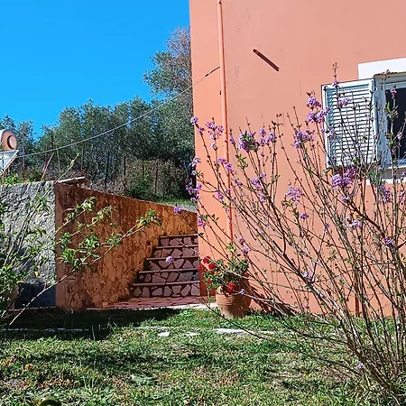 εξοχικό στο βιρο κέρκυρας Homestay Kastania (Corfu)