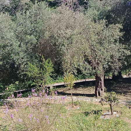 εξοχικό στο βιρο κέρκυρας *