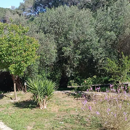 Homestay εξοχικό στο βιρο κέρκυρας *