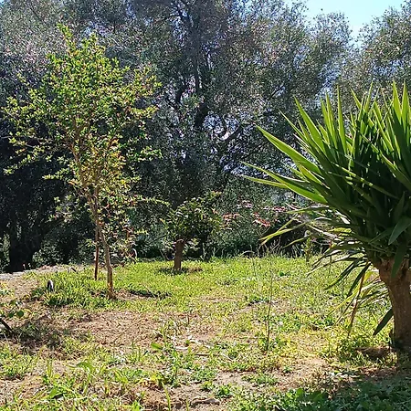Homestay εξοχικό στο βιρο κέρκυρας Kastania (Corfu)