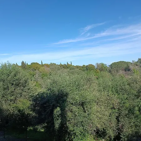 εξοχικό στο βιρο κέρκυρας Homestay *