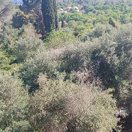 Homestay εξοχικό στο βιρο κέρκυρας