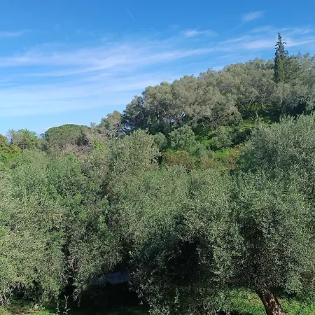 Homestay εξοχικό στο βιρο κέρκυρας *