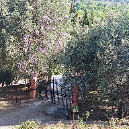 εξοχικό στο βιρο κέρκυρας Homestay *