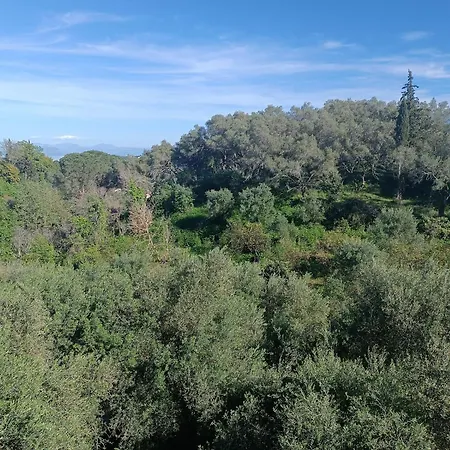 Homestay εξοχικό στο βιρο κέρκυρας