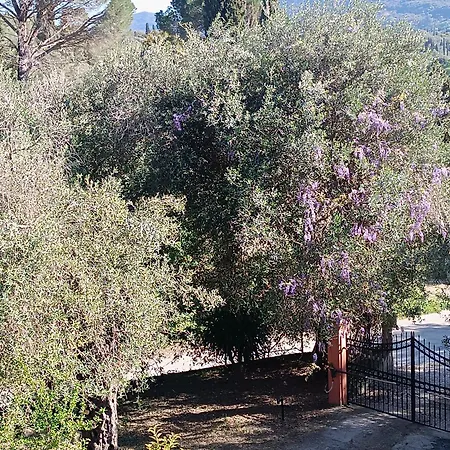 εξοχικό στο βιρο κέρκυρας *